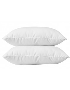 Lot de 2 oreillers 60 x 60 cm Blanrêve Gamme Microfibre "Douceur" traité Anti Acarien