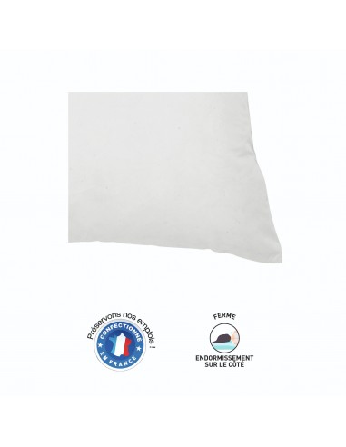 Lot de 2 oreillers 60 x 60 cm Blanrêve Gamme Microfibre "Douceur" traité Anti Acarien