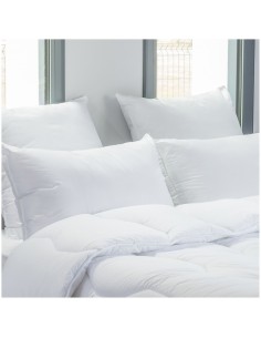 Lot de 2 oreillers 60 x 60 cm Blanrêve Gamme Microfibre "Douceur" traité Anti Acarien