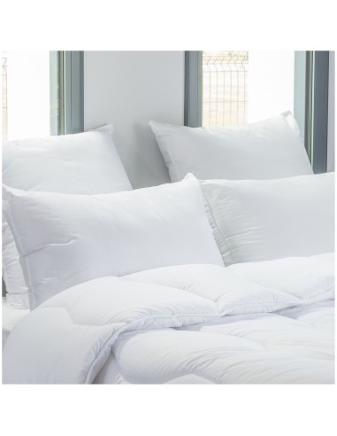 Lot de 2 oreillers 60 x 60 cm Blanrêve Gamme Microfibre "Douceur" traité Anti Acarien