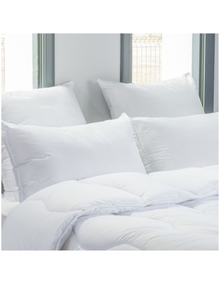 Lot de 2 oreillers 60 x 60 cm Blanrêve Gamme Microfibre "Douceur" traité Anti Acarien