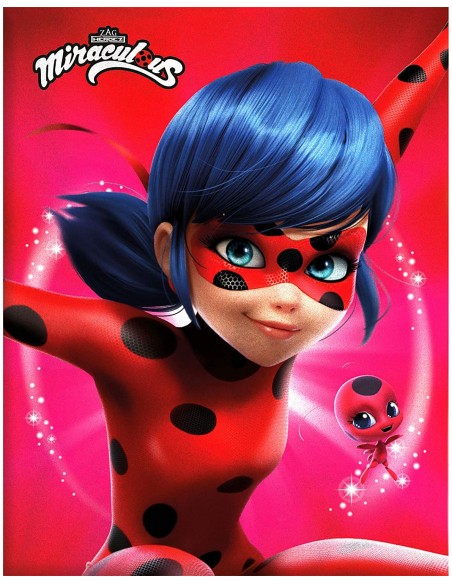 Parure de couette 140 x 200 "Ladybug" Microfibre / 100% Polyester