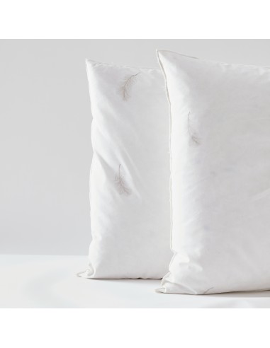 Lot de 2 oreillers 60 x 60 cm Blanrêve Gamme Naturelle "Prestige" plumes véritables confort moelleux