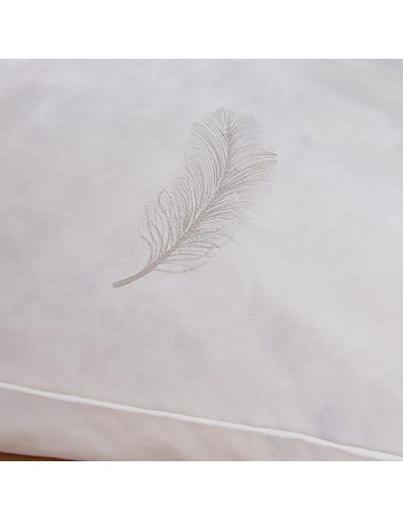 Lot de 2 oreillers 60 x 60 cm Blanrêve Gamme Naturelle "Prestige" plumes véritables confort moelleux