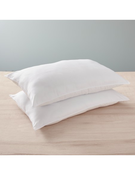 Lot de 2 oreillers 45 x 70 cm Blanrêve Gamme Microfibre "Douceur" traité Anti Acarien Soft & care