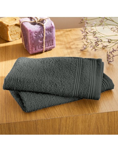 Lot de 2 serviettes invité éponge...