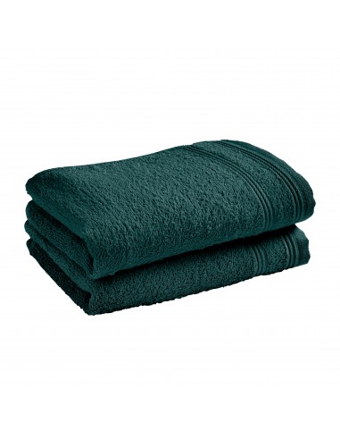 Lot de 2 serviettes invité éponge...