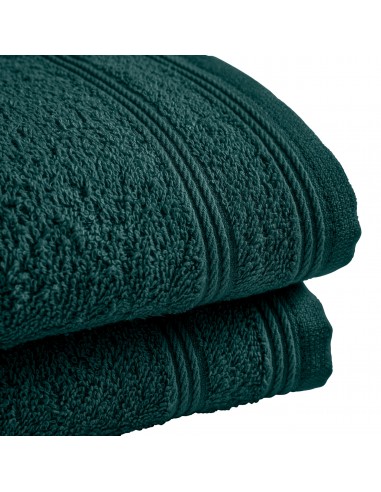 Lot de 2 serviettes invité éponge...