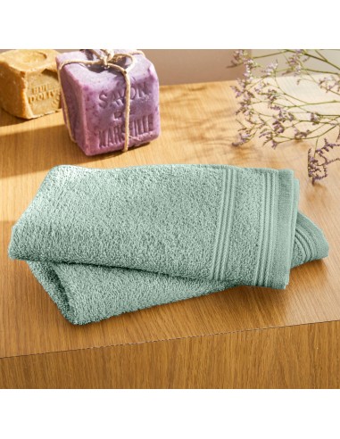 Lot de 2 serviettes invité éponge...