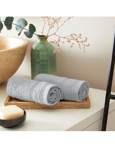 Lot de 2 serviettes invité éponge...