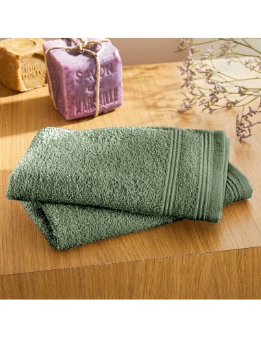 Lot de 2 serviettes invité éponge...