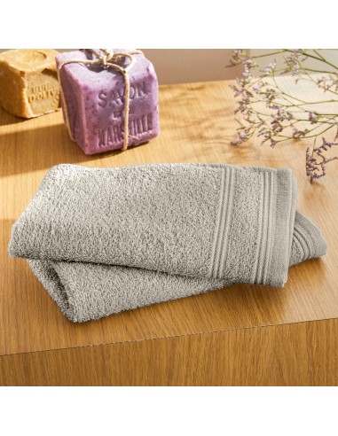 Lot de 2 serviettes invité éponge...