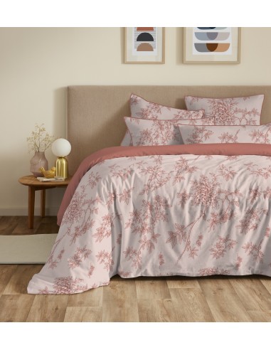 Pack housse de couette 240 x 220...