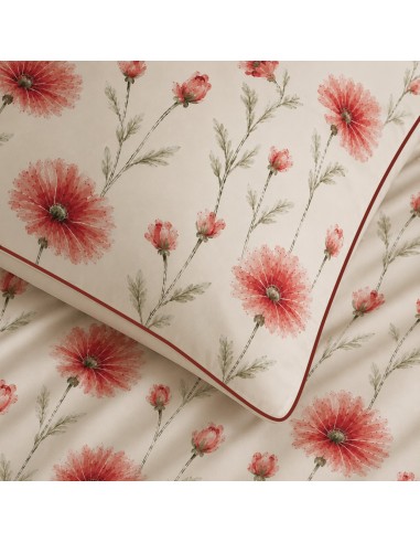 Pack housse de couette 240 x 220...