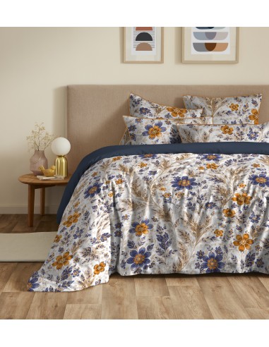 Pack housse de couette 240 x 220...