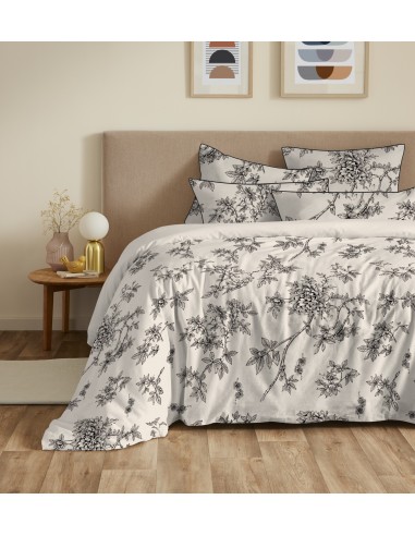 Pack housse de couette 240 x 220...