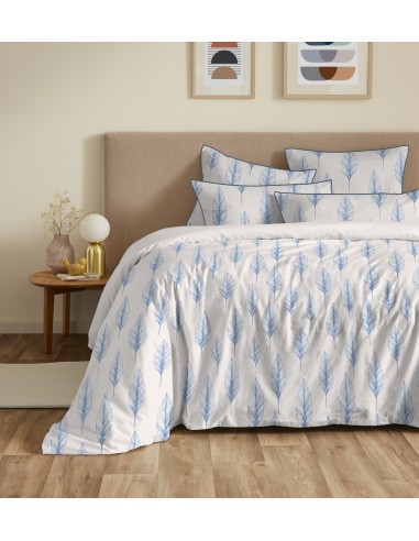 Pack housse de couette 260 x 240...